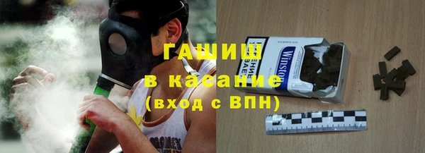 хмурый Аркадак