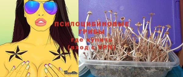ешки Балахна