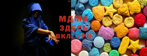 хмурый Аркадак